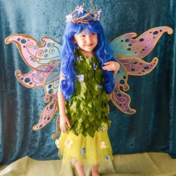 DIY Fairy Costume Ideas